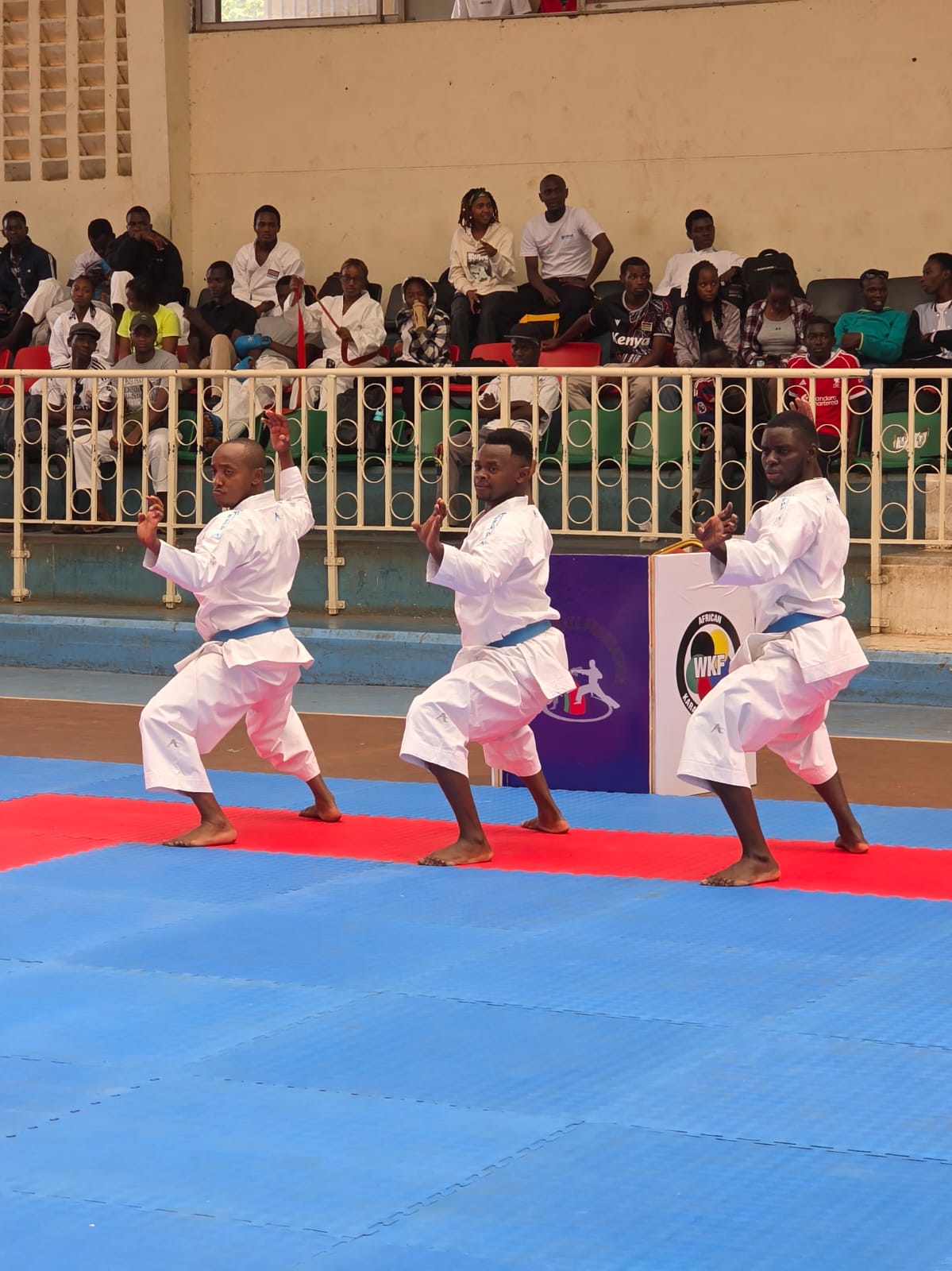 Male national kata team demonstrating precision and discipline in action.